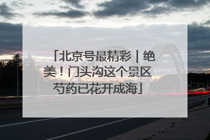 北京号最精彩｜绝美！门头沟这个景区芍药已花开成海