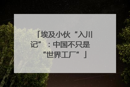埃及小伙“入川记”：中国不只是“世界工厂”