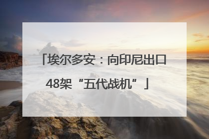 埃尔多安：向印尼出口48架“五代战机”