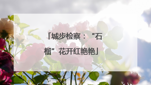 城步检察：“石榴”花开红艳艳