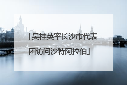 吴桂英率长沙市代表团访问沙特阿拉伯
