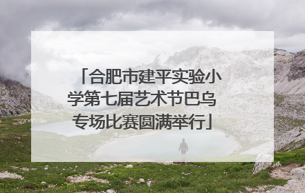 合肥市建平实验小学第七届艺术节巴乌专场比赛圆满举行