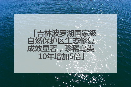 吉林波罗湖国家级自然保护区生态修复成效显著，珍稀鸟类10年增加5倍