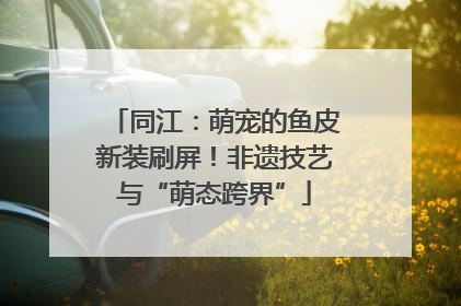 同江：萌宠的鱼皮新装刷屏！非遗技艺与“萌态跨界”