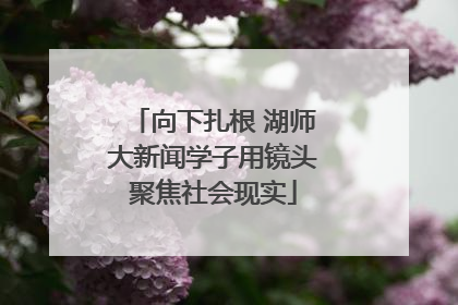 向下扎根 湖师大新闻学子用镜头聚焦社会现实