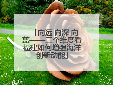 向远 向深 向蓝——三个维度看福建如何增强海洋创新动能