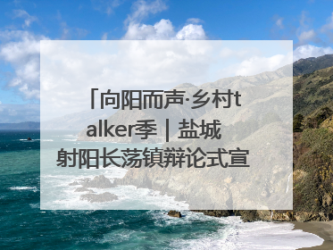 向阳而声·乡村talker季｜盐城射阳长荡镇辩论式宣讲有看头有热度