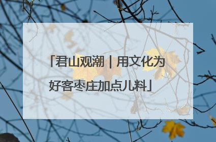 君山观潮｜用文化为好客枣庄加点儿料
