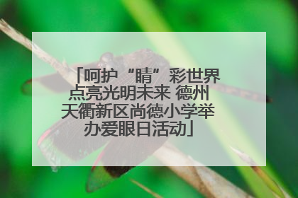 呵护“睛”彩世界点亮光明未来 德州天衢新区尚德小学举办爱眼日活动