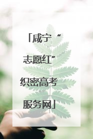 咸宁“志愿红”织密高考服务网