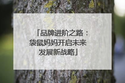 品牌进阶之路：袋鼠妈妈开启未来发展新战略
