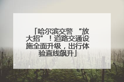 哈尔滨交警 “放大招”！道路交通设施全面升级，出行体验直线飙升