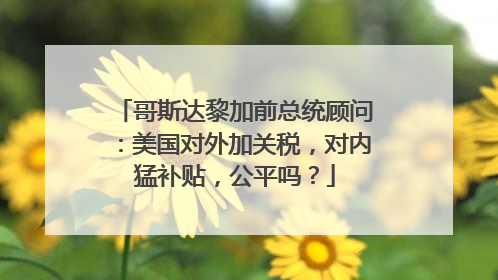 哥斯达黎加前总统顾问：美国对外加关税，对内猛补贴，公平吗？