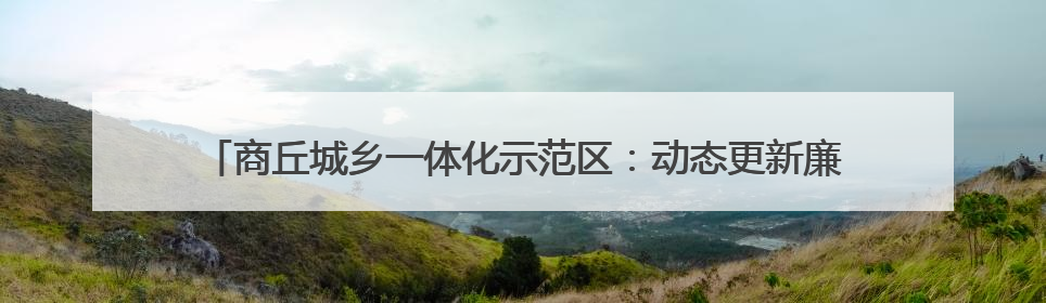 商丘城乡一体化示范区：动态更新廉政档案 为党员干部精准“画像”
