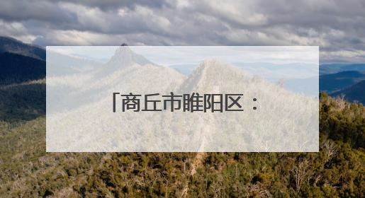 商丘市睢阳区：麦浪滚滚战正酣 干群同心保丰收