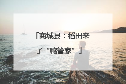 商城县：稻田来了“鸭管家”
