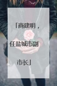 商建明，任盐城市副市长
