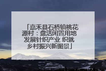 嘉禾县石桥镇桃花源村：盘活闲置用地发展针织产业 织就乡村振兴新图景