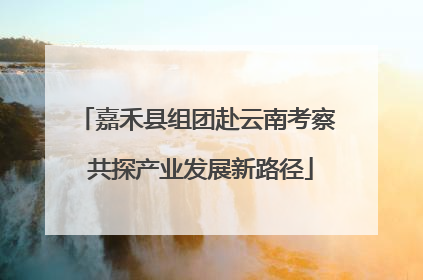 嘉禾县组团赴云南考察 共探产业发展新路径