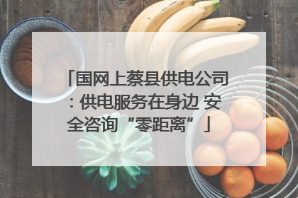 国网上蔡县供电公司：供电服务在身边 安全咨询“零距离”
