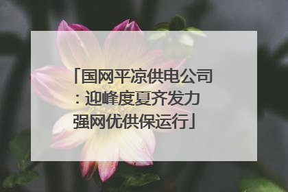 国网平凉供电公司：迎峰度夏齐发力 强网优供保运行