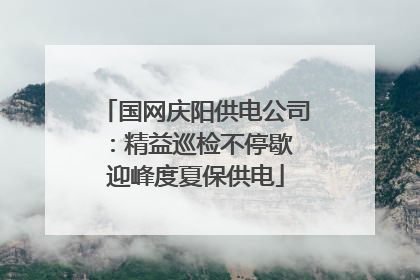国网庆阳供电公司：精益巡检不停歇 迎峰度夏保供电