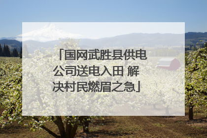 国网武胜县供电公司送电入田 解决村民燃眉之急