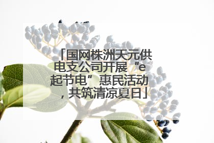 国网株洲天元供电支公司开展“e起节电”惠民活动，共筑清凉夏日