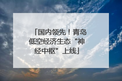 国内领先！青岛低空经济生态“神经中枢”上线