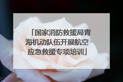 国家消防救援局青海机动队伍开展航空应急救援专项培训