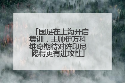 国足在上海开启集训，主帅伊万科维奇期待对阵印尼踢得更有进攻性