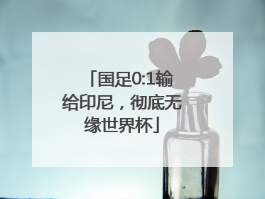 国足0:1输给印尼，彻底无缘世界杯