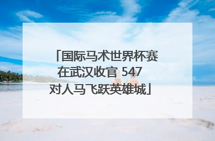 国际马术世界杯赛在武汉收官 547对人马飞跃英雄城