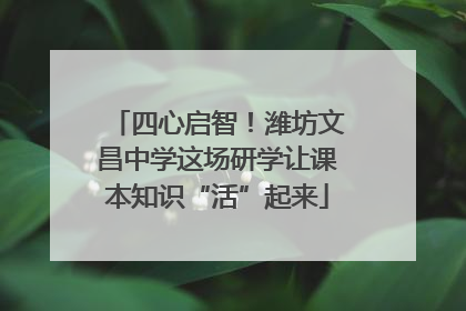 四心启智！潍坊文昌中学这场研学让课本知识“活”起来