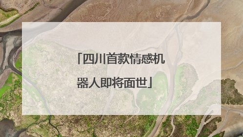 四川首款情感机器人即将面世