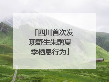 四川首次发现野生朱鹮夏季栖息行为