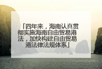 四年来，海南认真贯彻实施海南自由贸易港法，加快构建自由贸易港法律法规体系