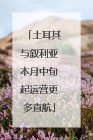 土耳其与叙利亚本月中旬起运营更多直航