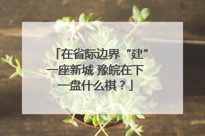 在省际边界“建”一座新城 豫皖在下一盘什么棋？