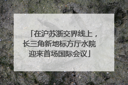 在沪苏浙交界线上，长三角新地标方厅水院迎来首场国际会议