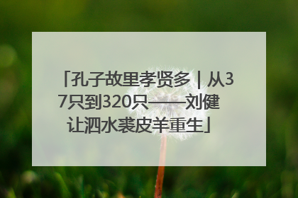 孔子故里孝贤多｜从37只到320只——刘健让泗水裘皮羊重生