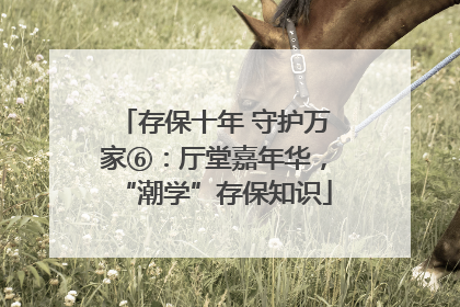 存保十年 守护万家⑥：厅堂嘉年华，“潮学”存保知识
