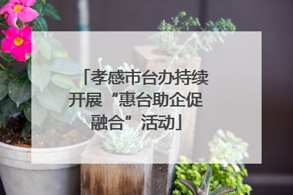 孝感市台办持续开展“惠台助企促融合”活动