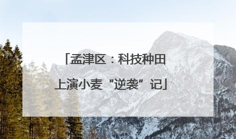 孟津区：科技种田 上演小麦“逆袭”记