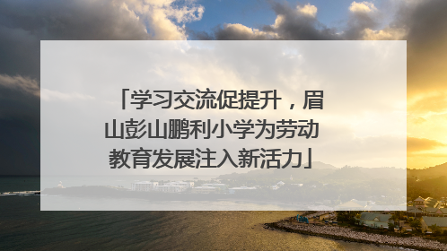 学习交流促提升，眉山彭山鹏利小学为劳动教育发展注入新活力