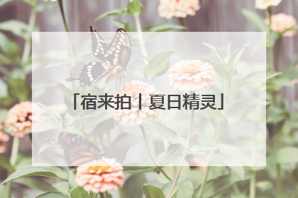 宿来拍丨夏日精灵
