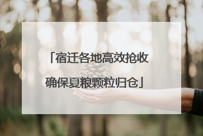 宿迁各地高效抢收 确保夏粮颗粒归仓
