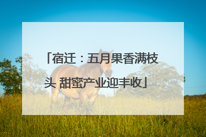 宿迁：五月果香满枝头 甜蜜产业迎丰收