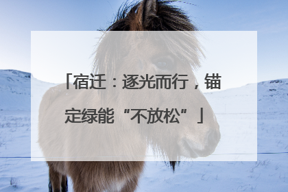 宿迁：逐光而行，锚定绿能“不放松”