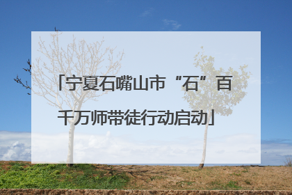 宁夏石嘴山市“石”百千万师带徒行动启动